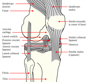 knie